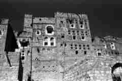 ���� ������ ��� ��� ����